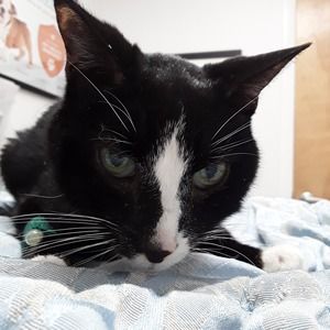 Meet your Posher, Melissa